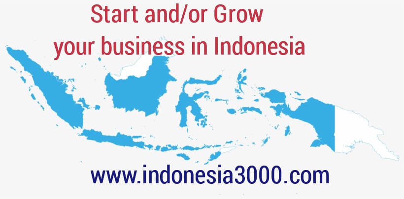 indonesia3000 - your indonesia business partner