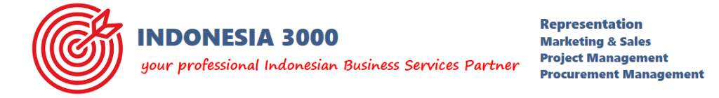 ndonesia3000.com